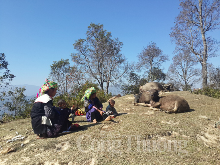 Обнародован рейтинг социально-экономического положения 53 малых народностей Вьетнама в 2015 году